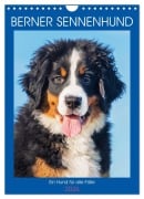 Cover-Bild zum Titel 'Berner Sennenhund - Ein Hund für alle Fälle (Wandkalender 2026 DIN A4 hoch), CALVENDO Monatskalender' von 'Sigrid Starick'