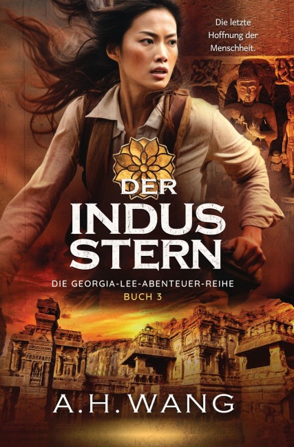 Der Indus-Stern - A. H. Wang