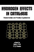 Cover-Bild zum Titel 'Hydrogen Effects in Catalysis' von 'Paal'