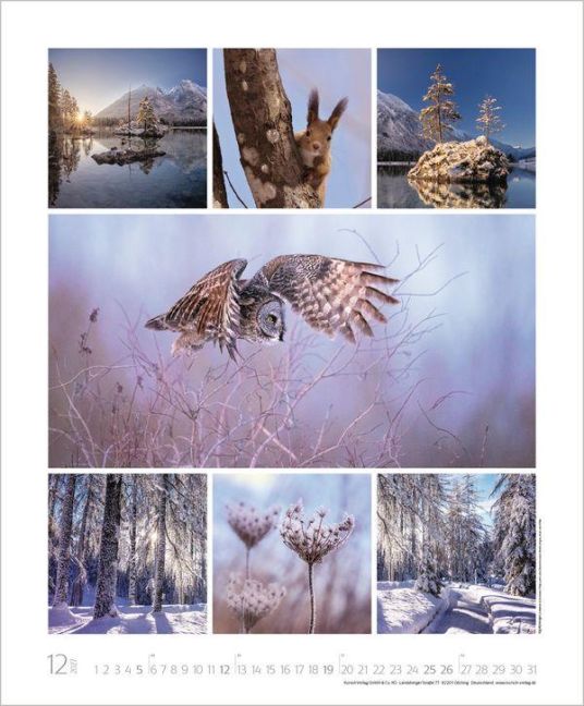InsideView 12