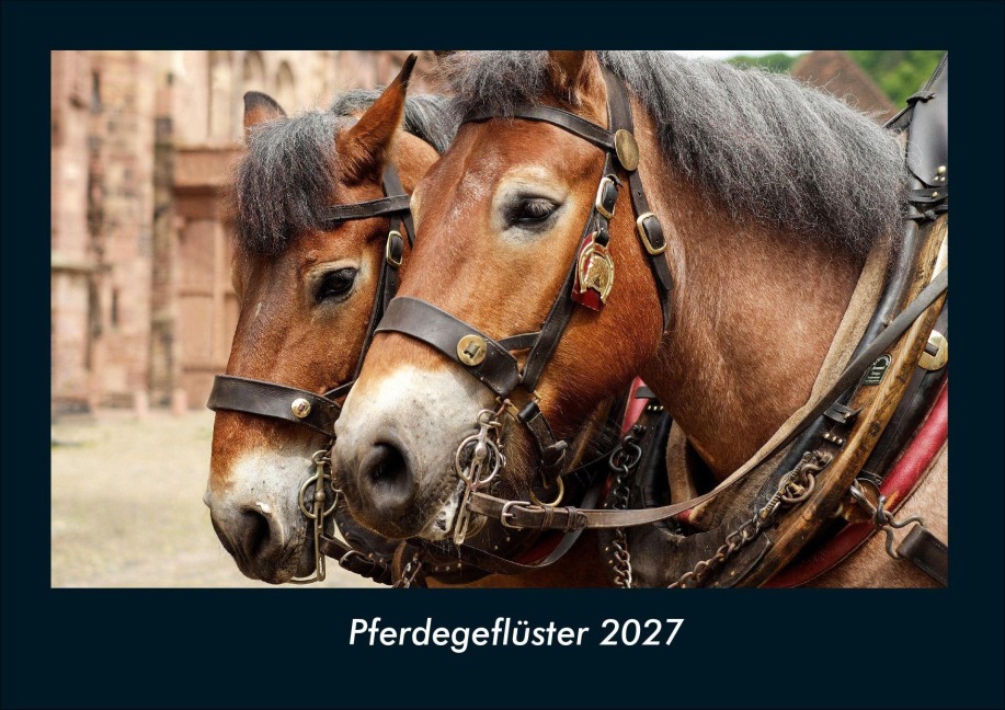 Pferdegeflüster 2027 Fotokalender DIN A4 - Tobias Schmitt, Kevin Heber