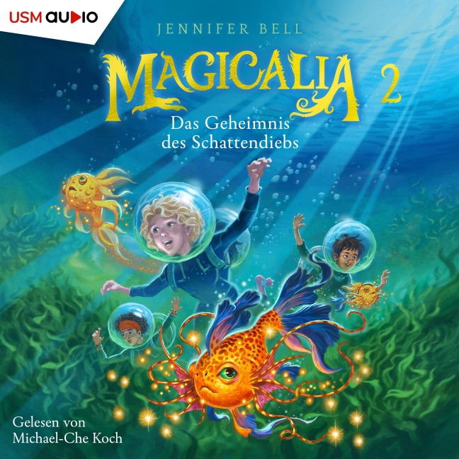 Das Geheimnis des Schattendiebs - Jennifer Bell
