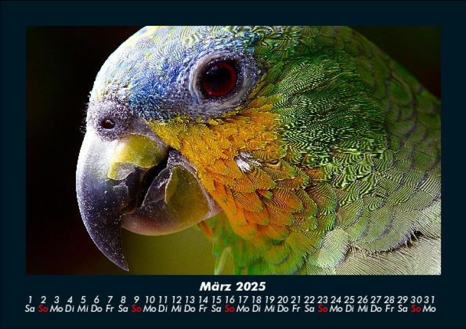 InsideView 7