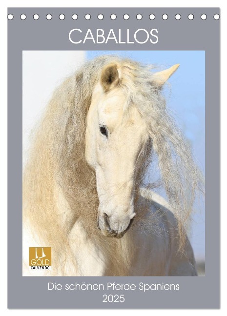 Caballos - Die schönen Pferde Spaniens (Tischkalender 2025 DIN A5 hoch), CALVENDO Monatskalender - Petra Eckerl Tierfotografie