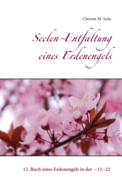 Seelen~Entfaltung eines Erdenengels - Clarissa M. Seite