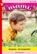Cover-Bild zum Titel 'Benjamin -  das Sorgenkind' von 'Susanne Svanberg'