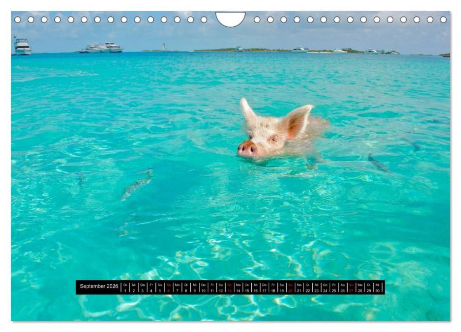 InsideView 14