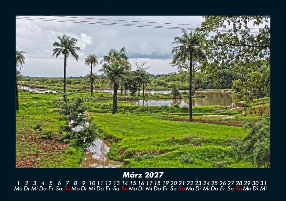 InsideView 7