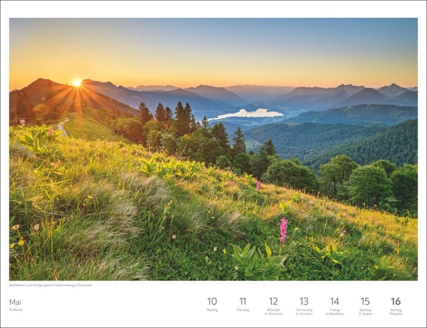 InsideView 2