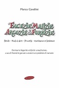 Cover-Bild zum Titel 'Facezie malizie arguzie e furbizie. Parole, modi di dire, proverbi, esortazioni e sentenze. Prontuario linguistico di facile consultazione, a uso di fiorentini giovani o anziani con problemi di memoria' von 'Marco Cavallini'