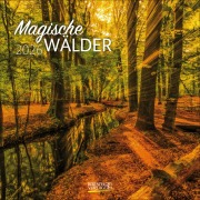Magische Wälder 2026 - 