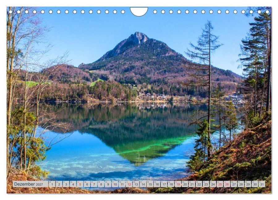 InsideView 4