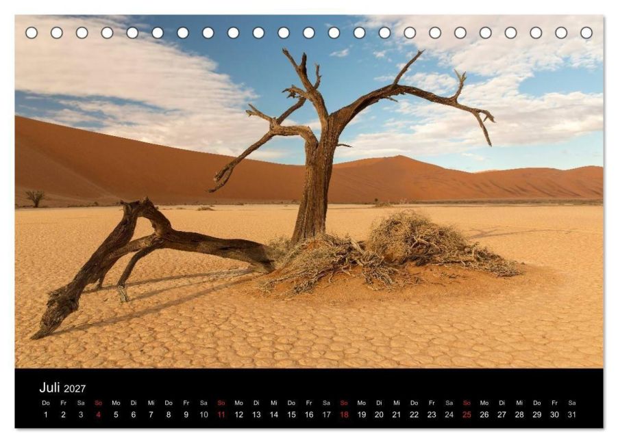 InsideView 12