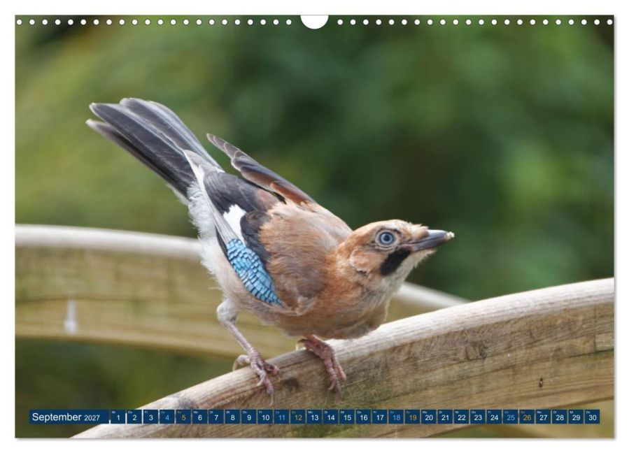 InsideView 14