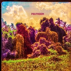 Chrysalis - Polymoon
