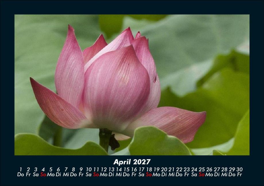 InsideView 8