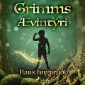 Cover-Bild zum Titel 'Hans hugprúði' von 'Grimmsbræður'
