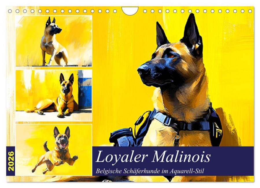Loyaler Malinois. Belgische Schäferhunde im Aquarell-Stil (Wandkalender 2026 DIN A4 quer), CALVENDO Monatskalender - Rose Hurley