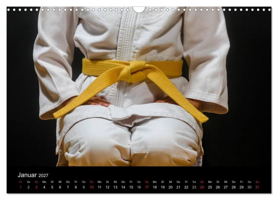 InsideView 6