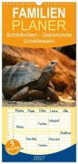 Cover-Bild zum Titel 'Familienplaner 2027 - Schildkröten - Gepanzerte Urzeitwesen mit 5 Spalten (Wandkalender, 21 x 45 cm) CALVENDO' von 'Barbara Mielewczyk'