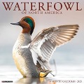 Waterfowl 2025 12 X 12 Wall Calendar - Willow Creek Press
