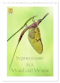 Impressionen aus Wald und Wiese (Wandkalender 2024 DIN A3 hoch), CALVENDO Monatskalender - Rolf Schnepp