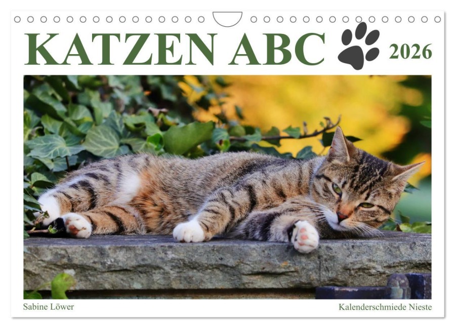 Katzen ABC (Wandkalender 2026 DIN A4 quer), CALVENDO Monatskalender - Sabine Löwer