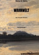 Cover-Bild zum Titel 'WAHNWELT' von 'Elena K. Stein'