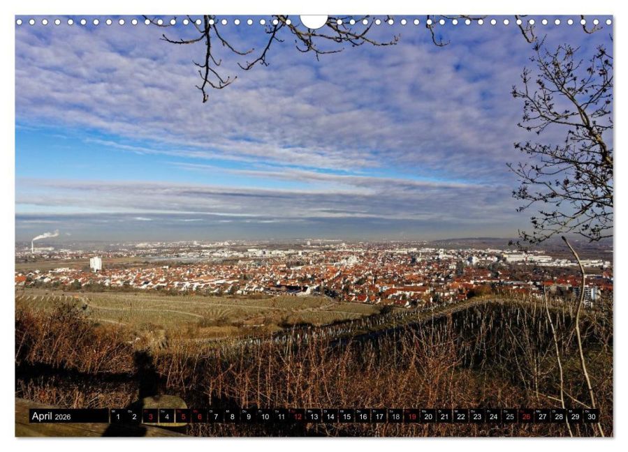 InsideView 9
