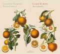 Cover-Bild zum Titel 'Le jeune/Airs & psaumes' von 'Claudine Ansermet & Paolo Cherici'