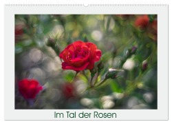 Im Tal der Rosen (Wandkalender 2025 DIN A2 quer), CALVENDO Monatskalender - Monika Scheurer