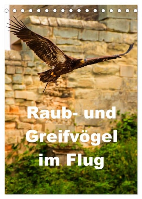 Raub- und Greifvögel im Flug (Tischkalender 2026 DIN A5 hoch), CALVENDO Monatskalender - Gabriela Wernicke-Marfo