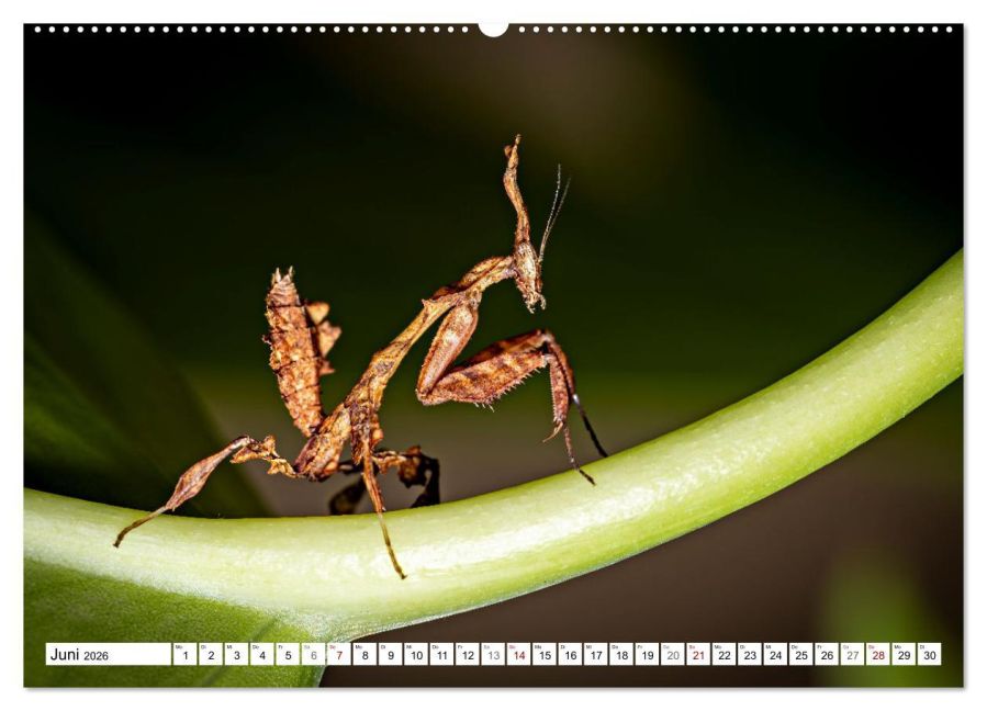 InsideView 11