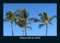 Palmenträume 2022 Fotokalender DIN A5 - Tobias Becker