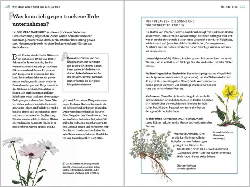 InsideView 7