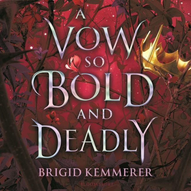 A Vow So Bold and Deadly - Brigid Kemmerer
