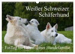 Weißer Schweizer Schäferhund - Ein Tag im Leben einer Hundefamilie (Wandkalender 2025 DIN A3 quer), CALVENDO Monatskalender - Sigrid Starick