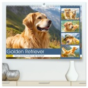 Cover-Bild zum Titel 'Golden Retriever. Treue Seelenhunde in der Bergwelt (hochwertiger Premium Wandkalender 2026 DIN A2 quer), Kunstdruck in Hochglanz' von 'Rose Hurley'