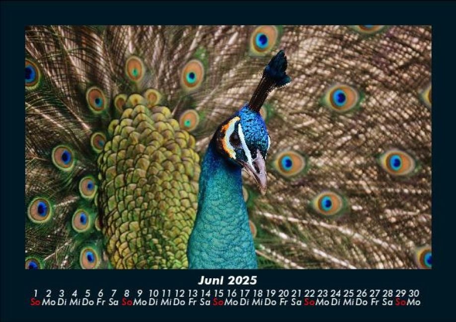 InsideView 10