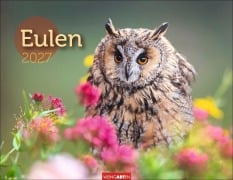 Cover-Bild zum Titel 'Eulen Kalender 2027' von ''