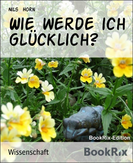 Wie werde ich glücklich? - Nils Horn