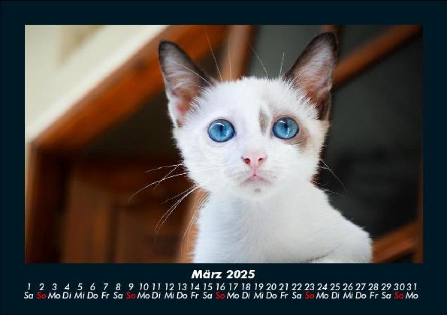 InsideView 7