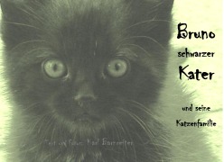 Cover-Bild zum Titel 'Bruno schwarzer Kater' von 'Karl Barnreiter'