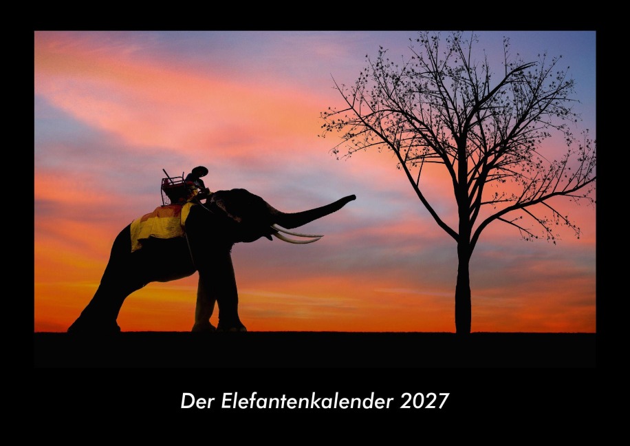 Der Elefantenkalender 2027 Fotokalender DIN A3 - Tobias Becker