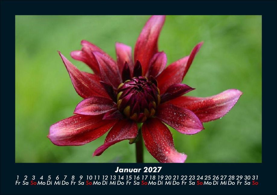 InsideView 5