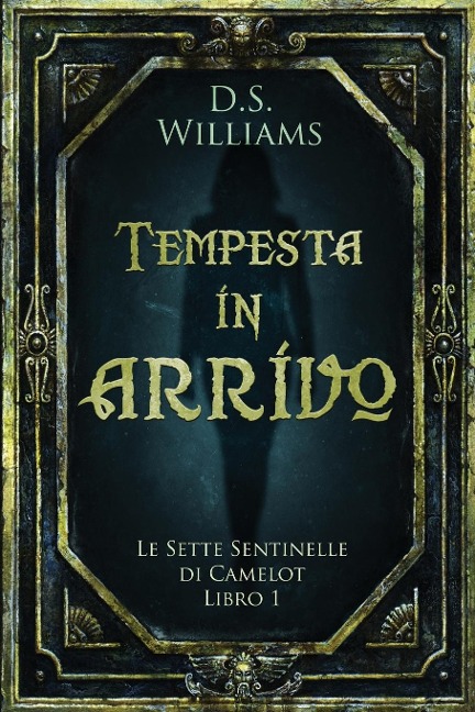 Tempesta in arrivo - D. S. Williams