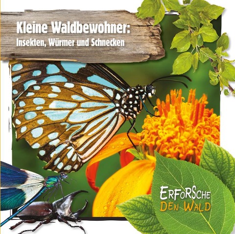 Kleine Waldbewohner: Insekten, Würmer und Schnecken - Robin Twiddy