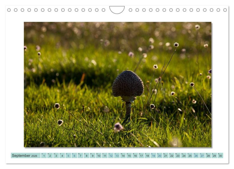 InsideView 14