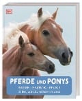Cover-Bild zum Titel 'Pferde und Ponys' von ''