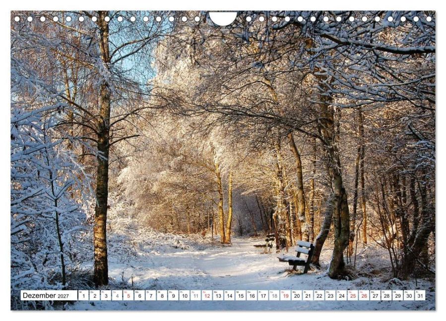 InsideView 4